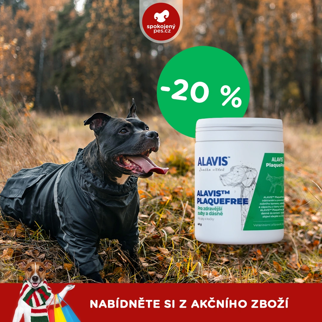 akční únor_6.webp